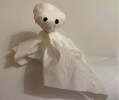 Tissue Ghost. T: Lisa on 10/4/2020.