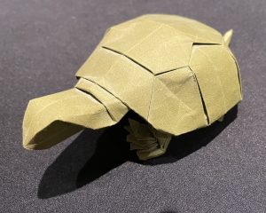 Turtle by John Szinger