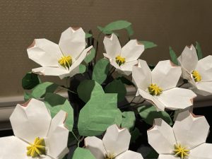 Origami Dogwood floral display by Delrosa Marshall